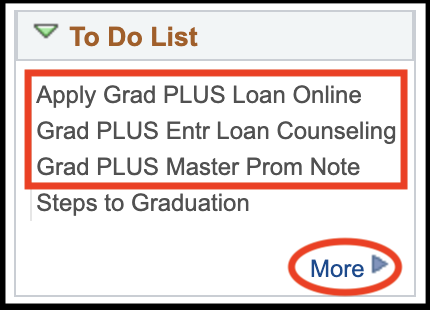 Grad store plus loan